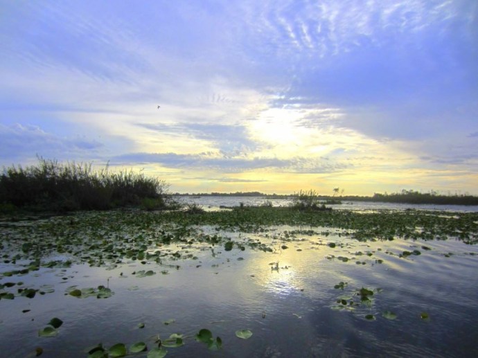 Hai Departe Argentina Esteros del Ibera (1)