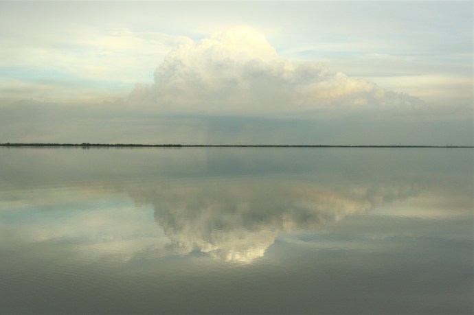 Hai Departe Argentina Esteros del Ibera (11)