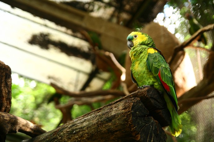 Hai Departe Brazilia Iguazu (2)