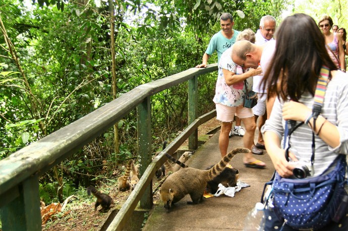 Hai Departe Brazilia Iguazu (9)