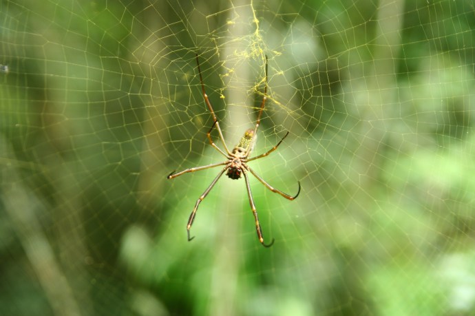 Hai Departe Iguazu (10)