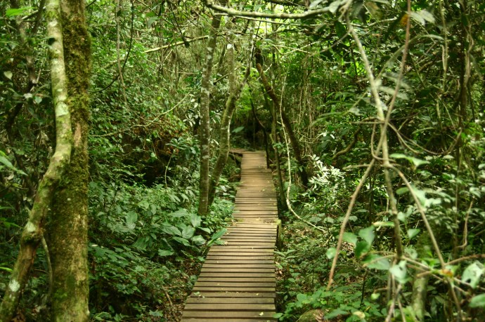 Hai Departe Iguazu (14)