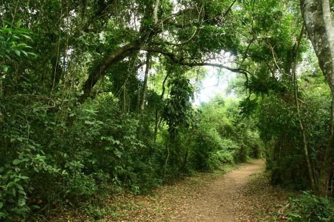 Hai Departe Iguazu (16)