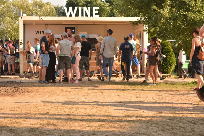 Hai Departe Romania Cluj Electric Castle 2018 (14)