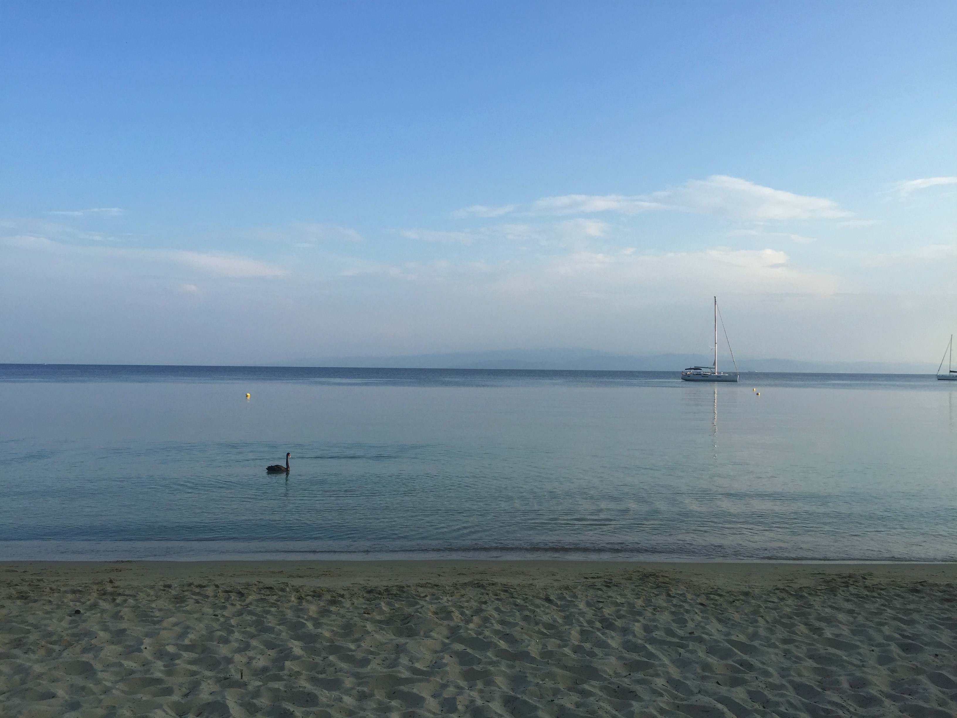 Hai Departe Skiathos (3)