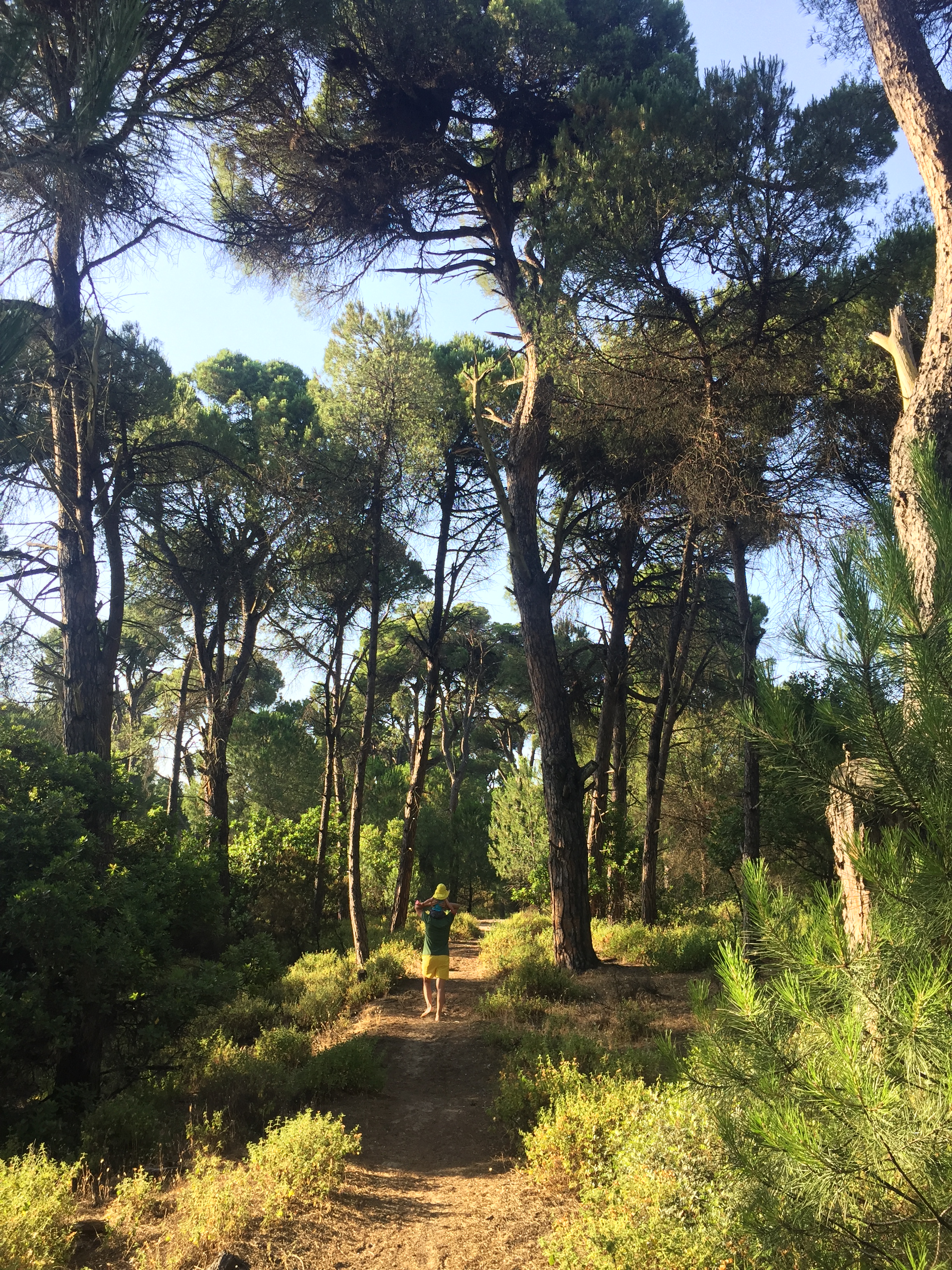 Hai Departe Skiathos (8)