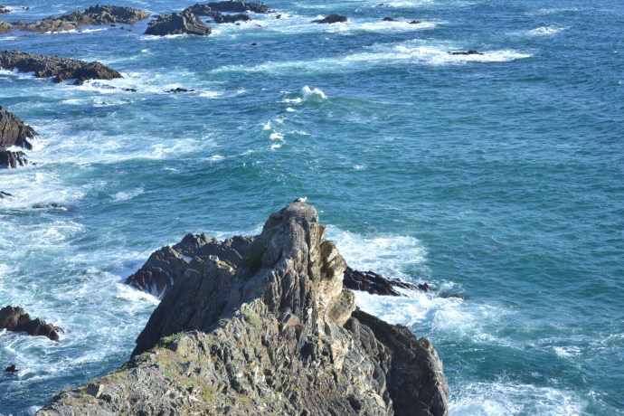 Hai Departe Portugalia Cabo Sardao (1)