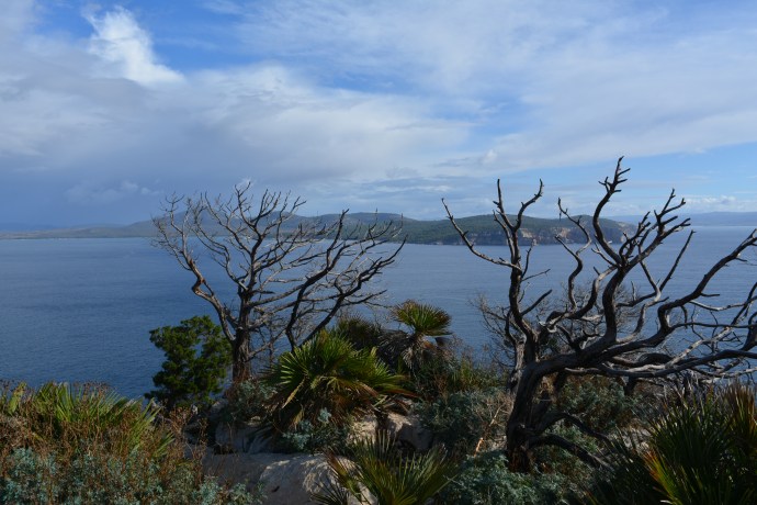 Hai Departe Sardinia 2017 (4)