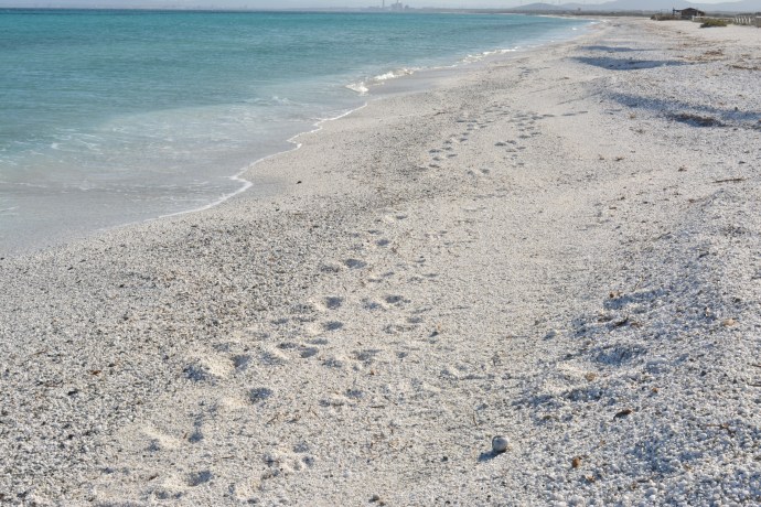 Hai Departe Sardinia 2017 (8)