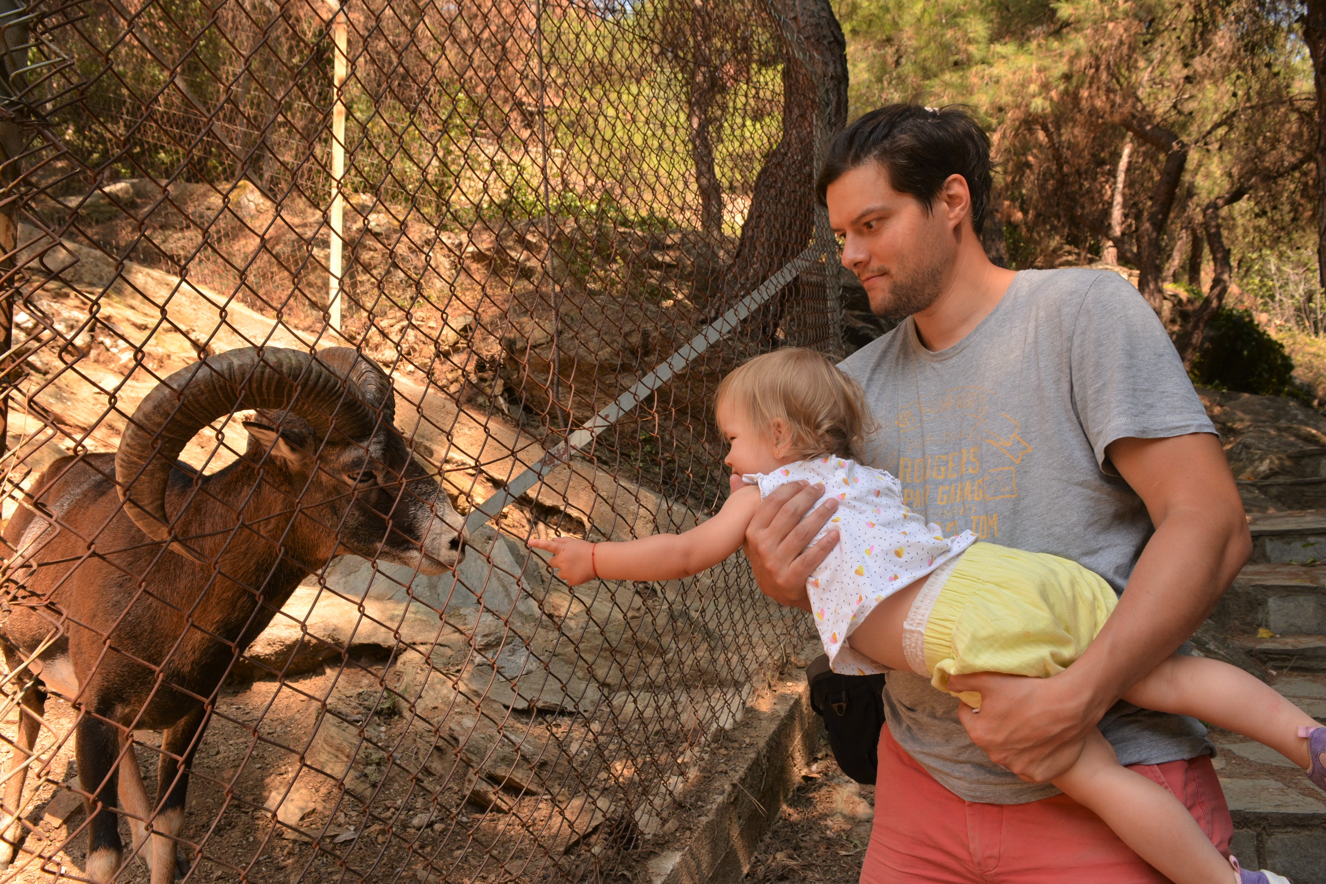 Hai Departe Halkidiki (13)