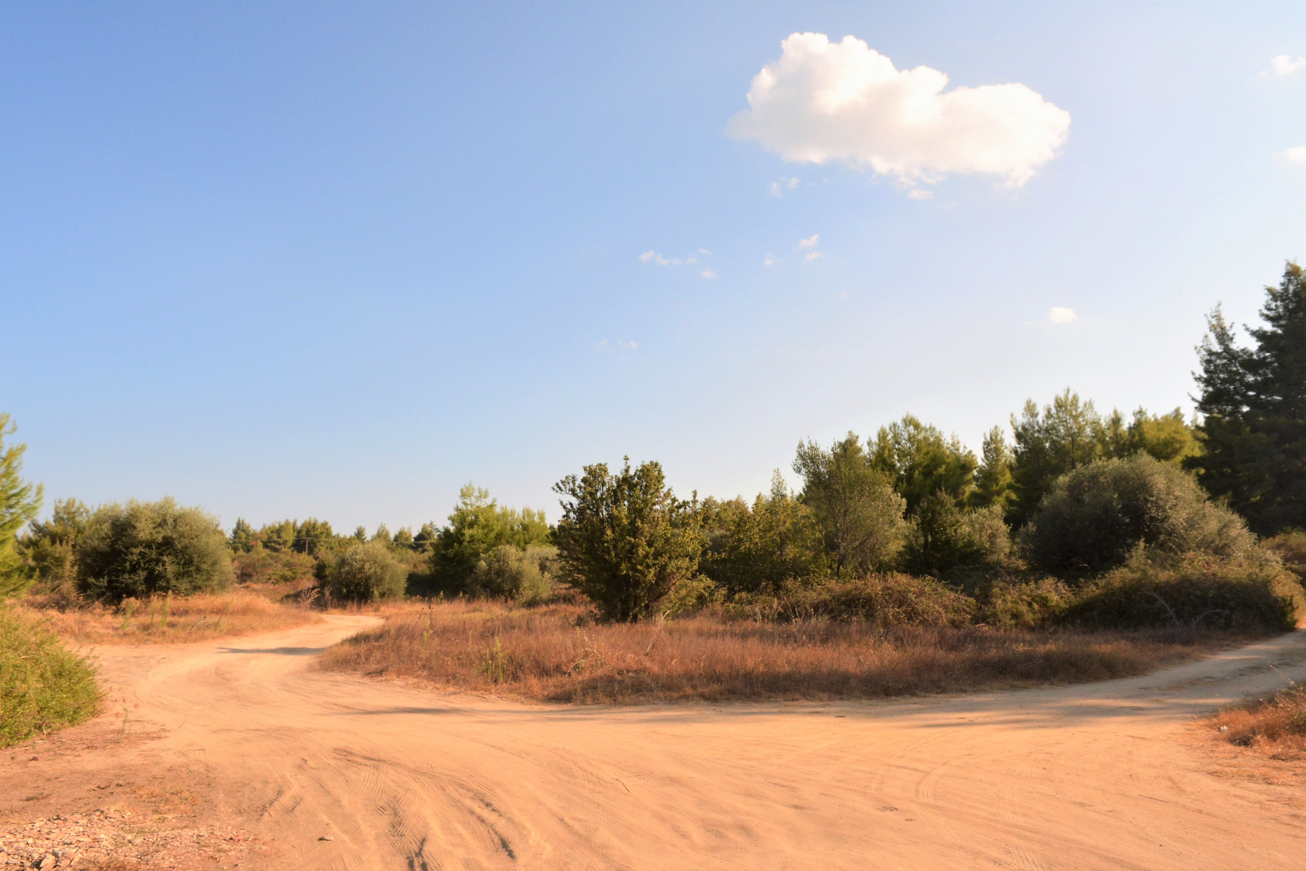 Hai Departe Halkidiki (6)