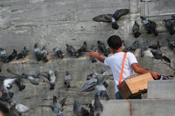 Hai Departe Turcia Istanbul (5)