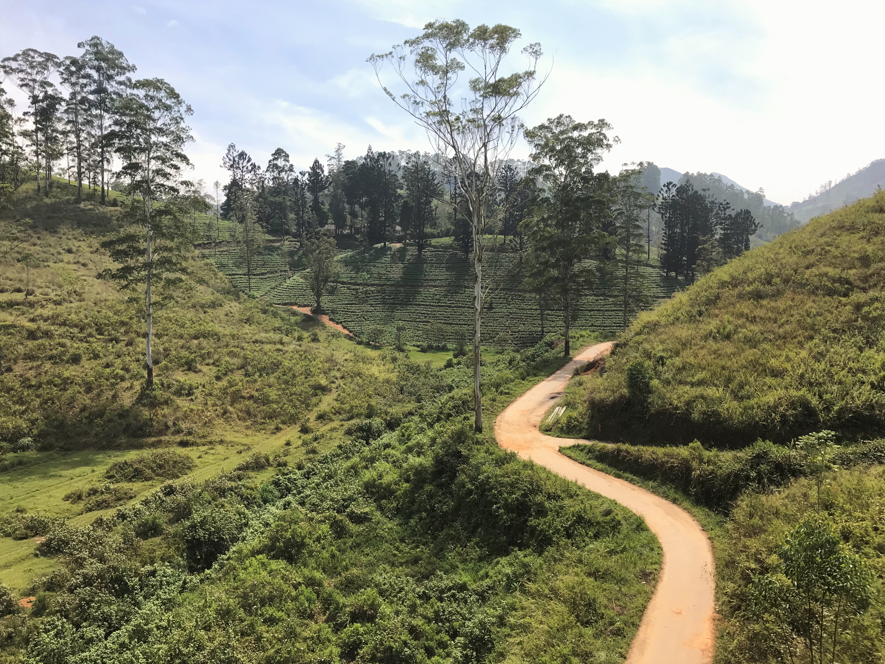 Hai Departe Sri Lanka (5)