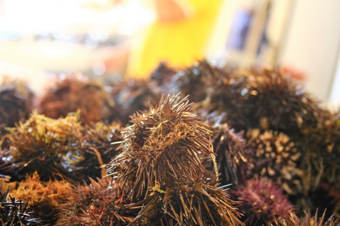 Hai Departe Sicilia Catania Piata de peste (1)