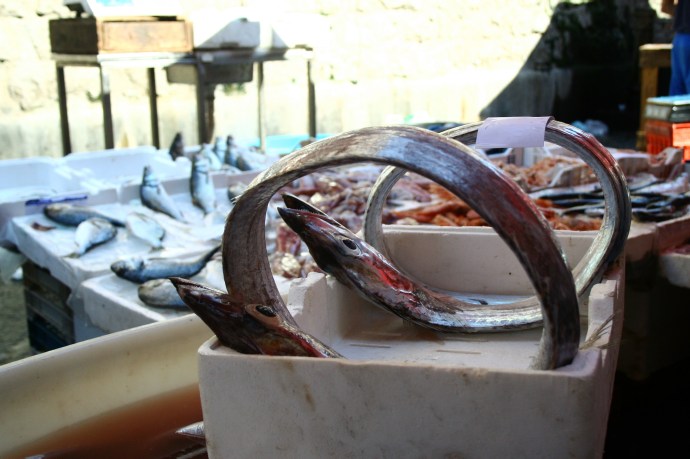 Hai Departe Sicilia Catania Piata de peste (12)