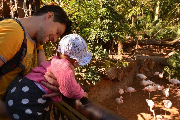 hai departe spania malaga (21)