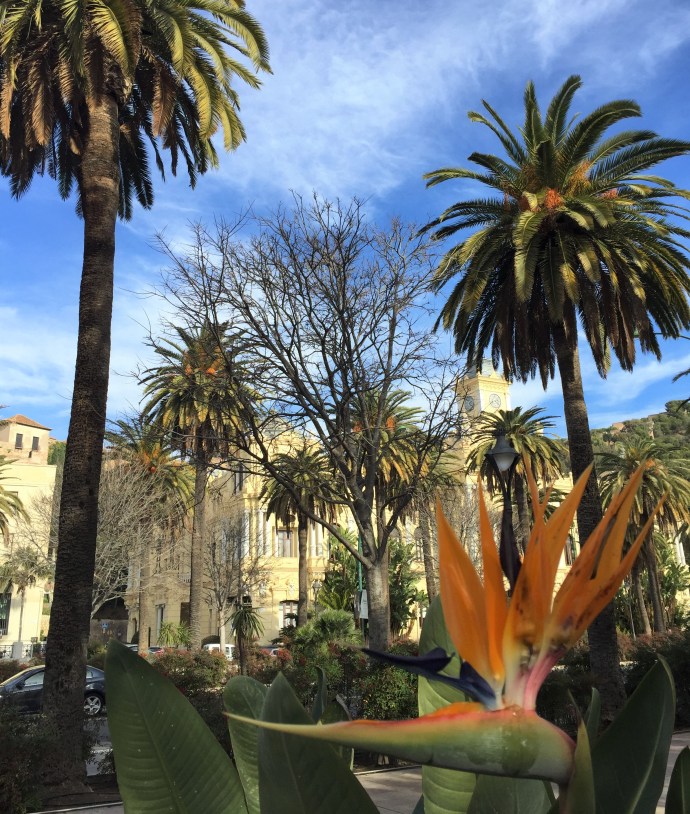 hai departe spania malaga (29)