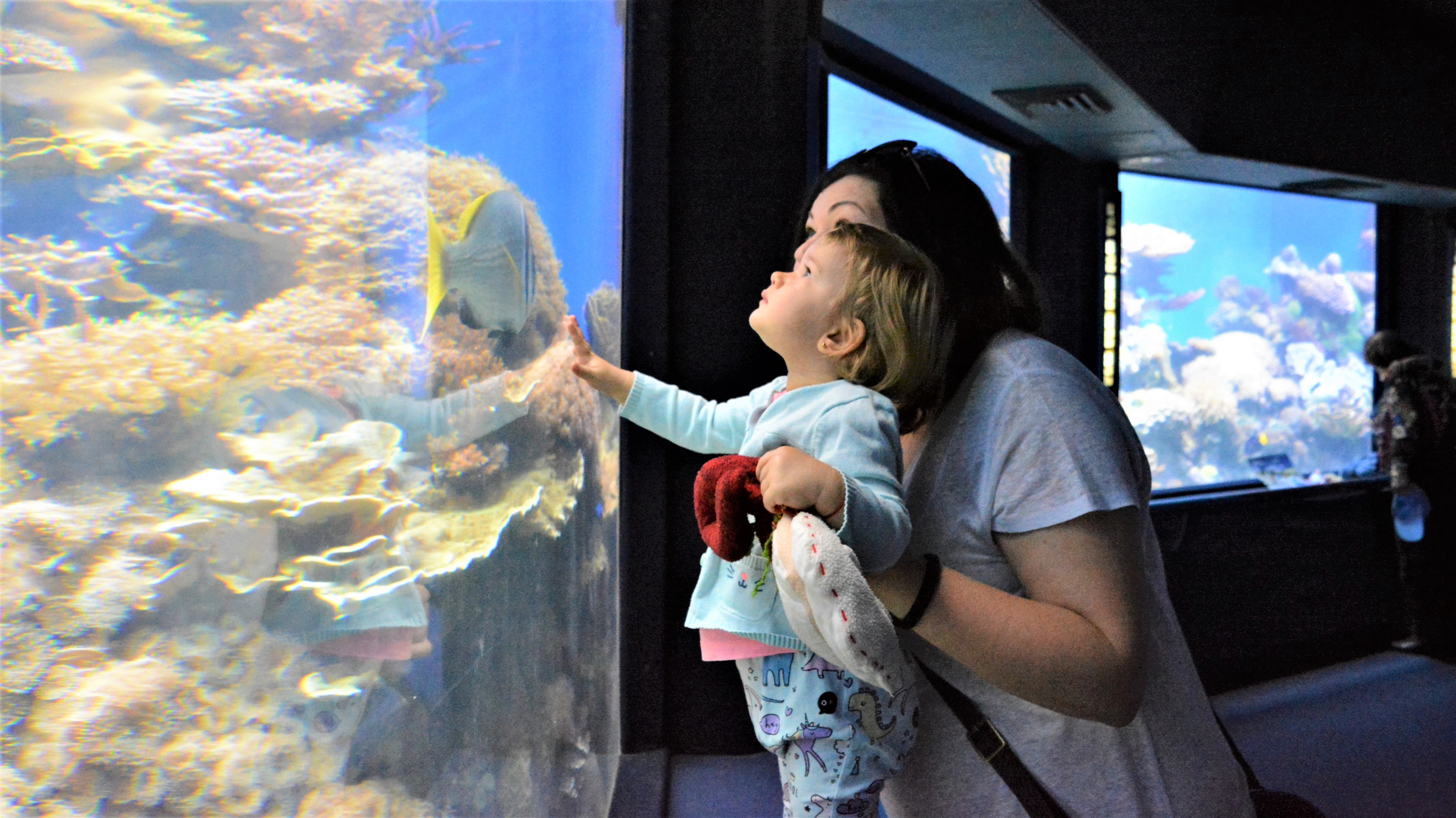 Hai Departe Eilat Israel (22)