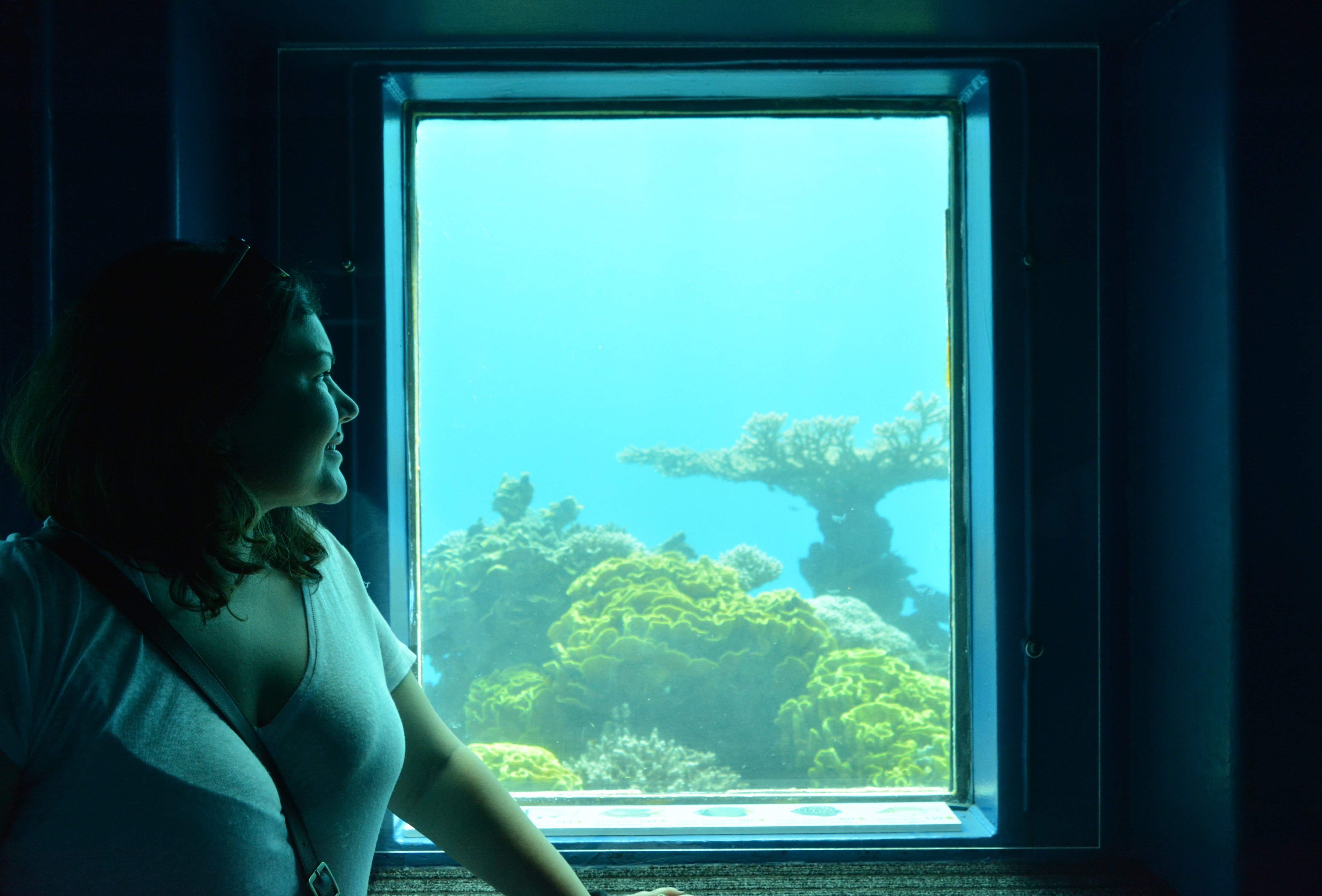 Hai Departe Eilat Israel (26)