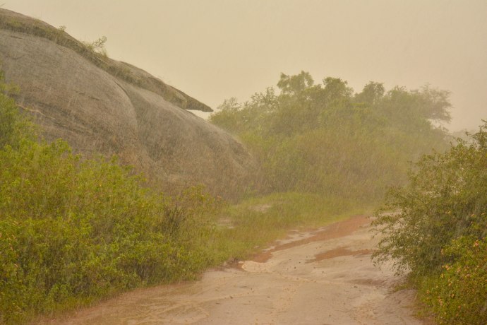 Hai Departe Sri Lanka Udawalawe (5)