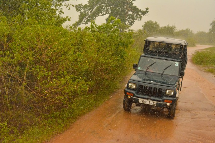 Hai Departe Sri Lanka Udawalawe (6)