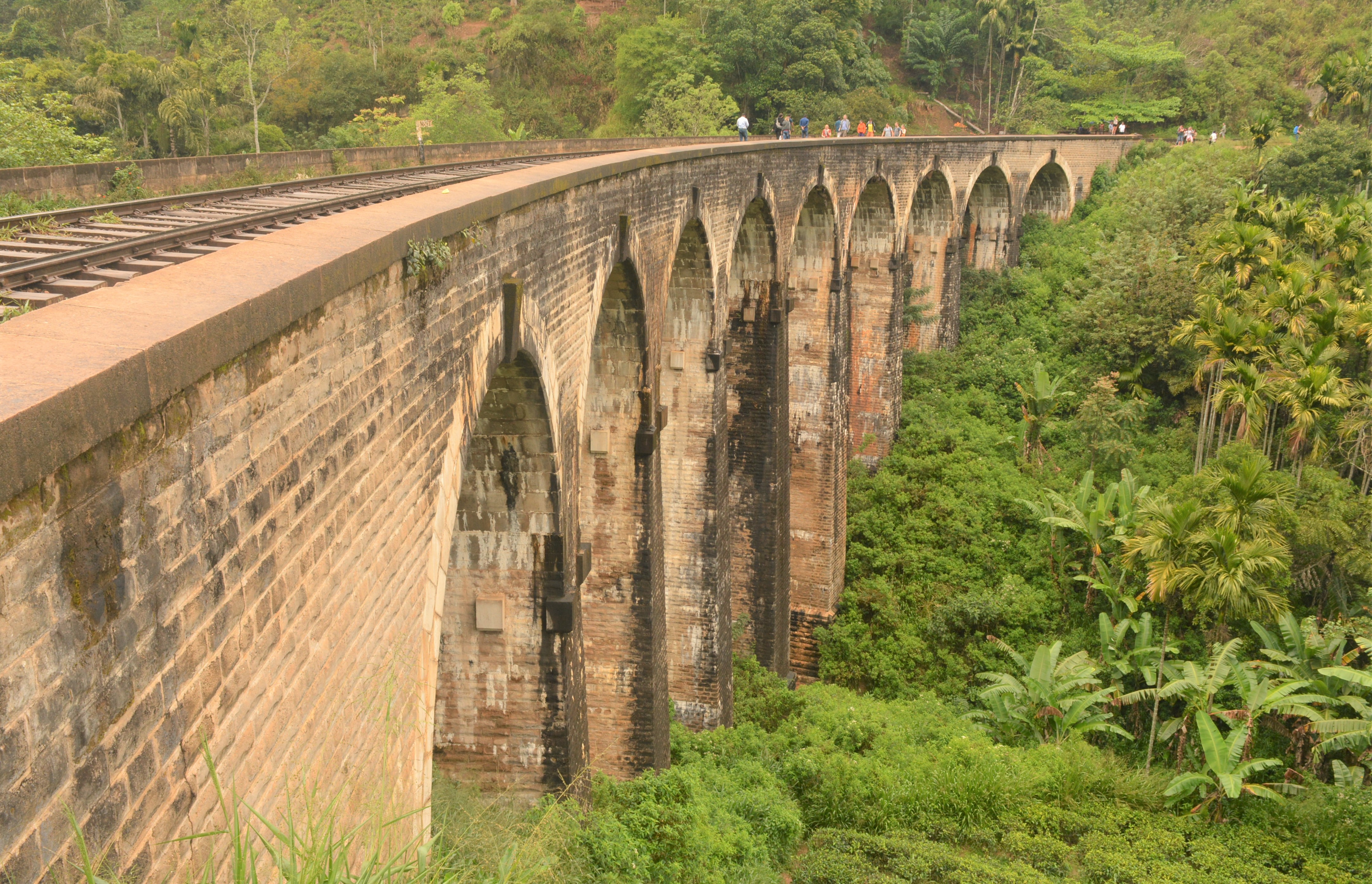 Hai Departe Ella Nanu Oya Nuwara Eliya (15)