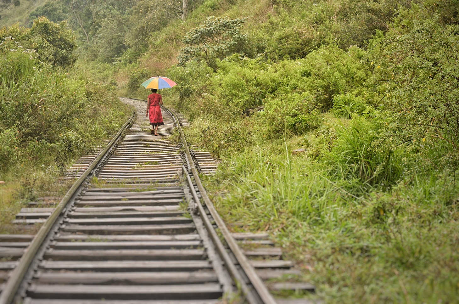 Hai Departe Ella Nanu Oya Nuwara Eliya (2)