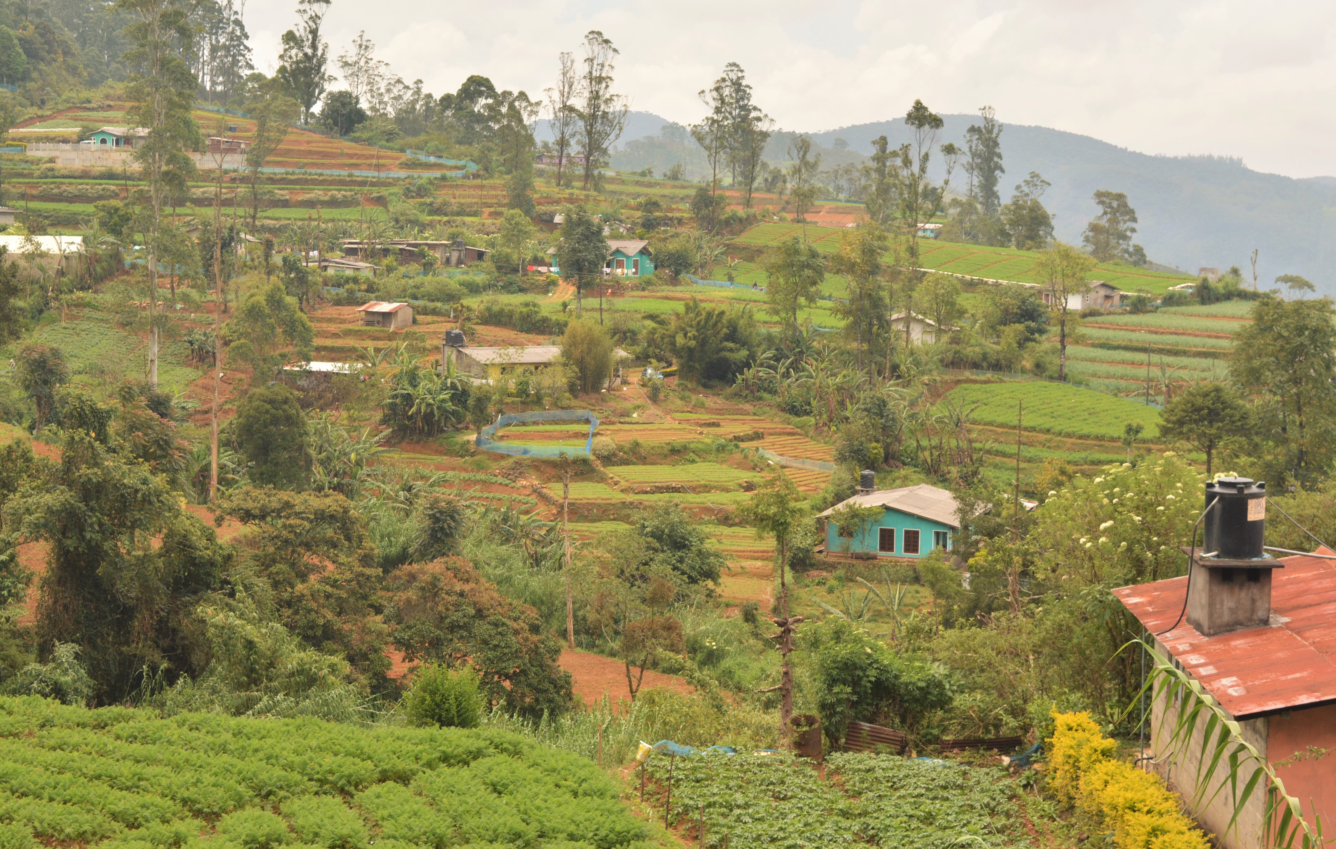 Hai Departe Ella Nanu Oya Nuwara Eliya (21)