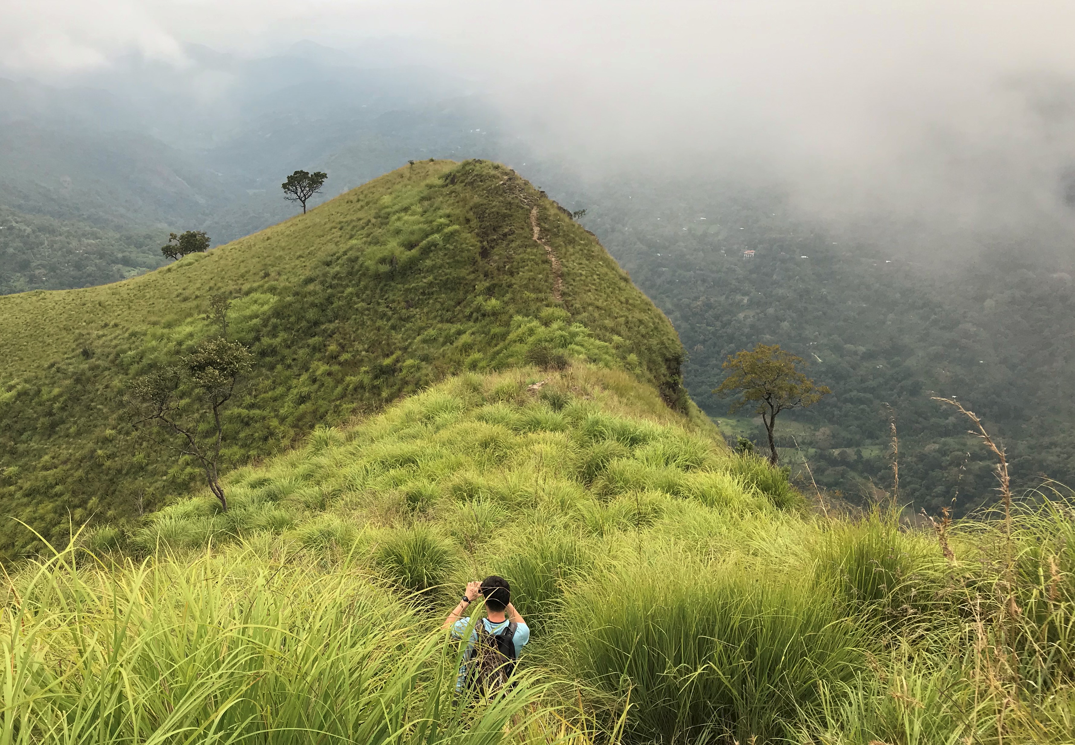 Hai Departe Ella Nanu Oya Nuwara Eliya (26)