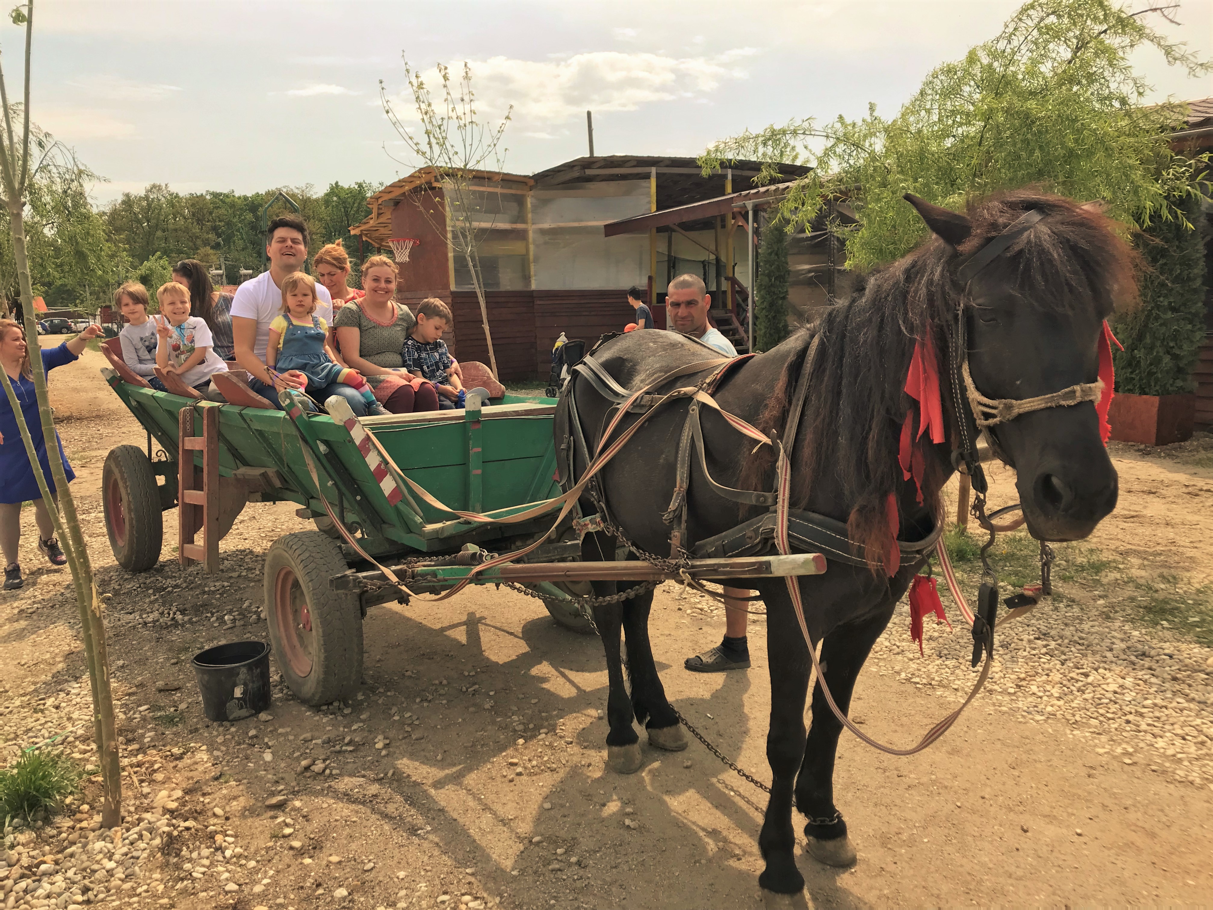 Hai Departe La Tara (2)