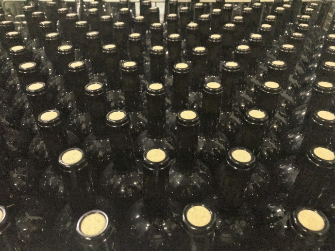 Hai Departe Purcari Republica Moldova (10)