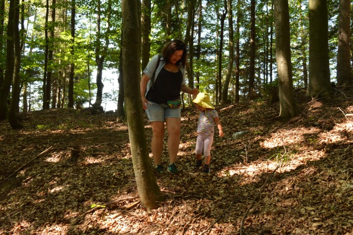 Hai Departe Wolkendorf Vulcan (15)