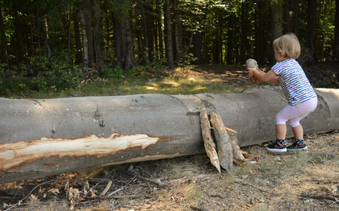 Hai Departe Wolkendorf Vulcan (18)