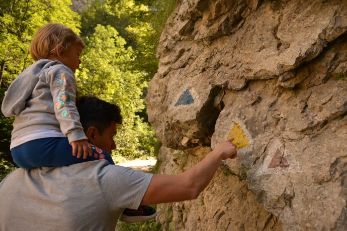 Hai Departe Wolkendorf Vulcan (22)