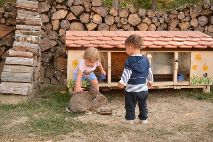 Hai Departe Wolkendorf Vulcan (29)