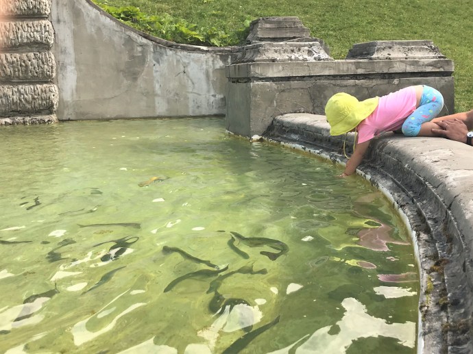 Hai Departe Wolkendorf Vulcan (3)