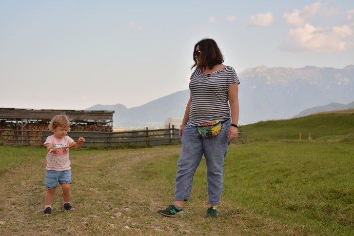 Hai Departe Wolkendorf Vulcan (33)